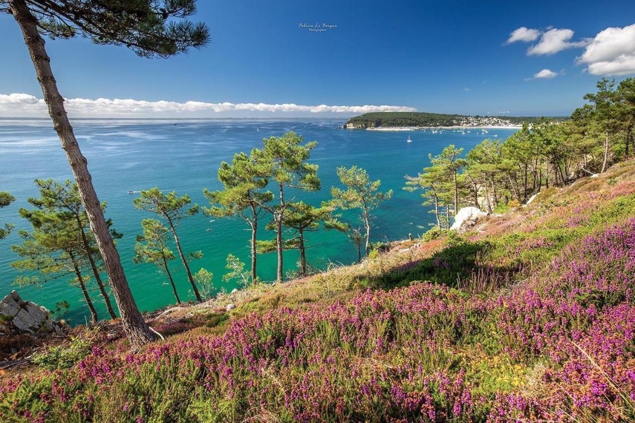 Cosy Les Pieds Dans L'eau, Vue Exceptionnelle